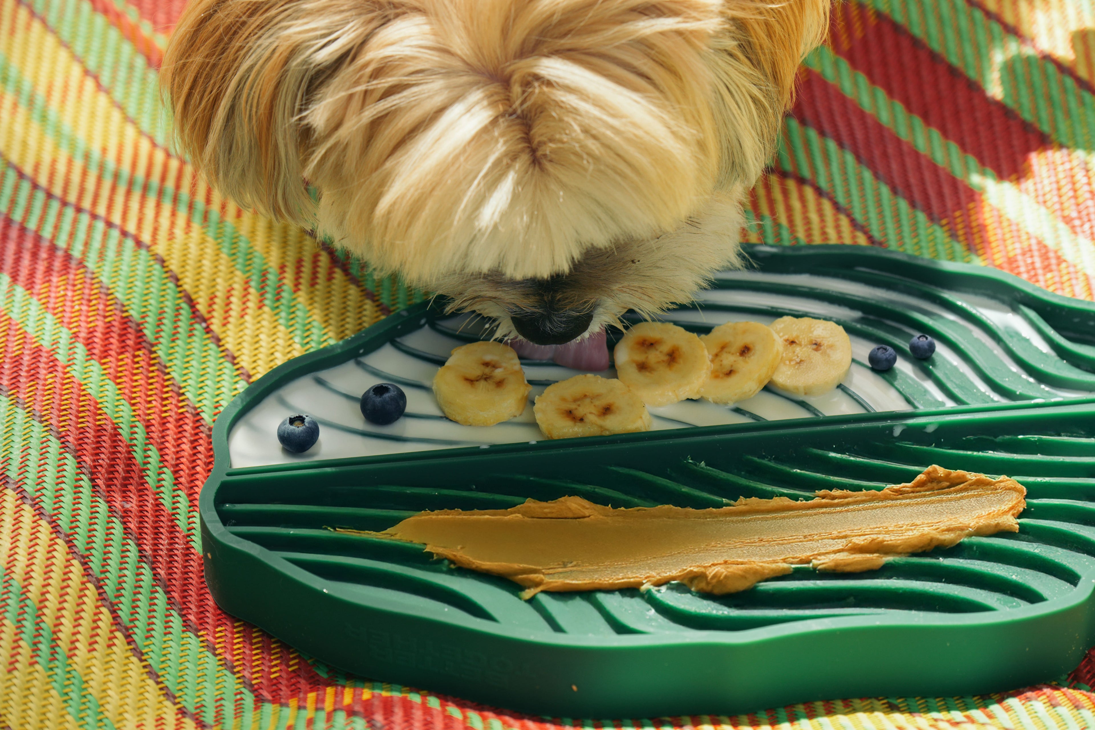 Banana Leaf Pet Lick Mat