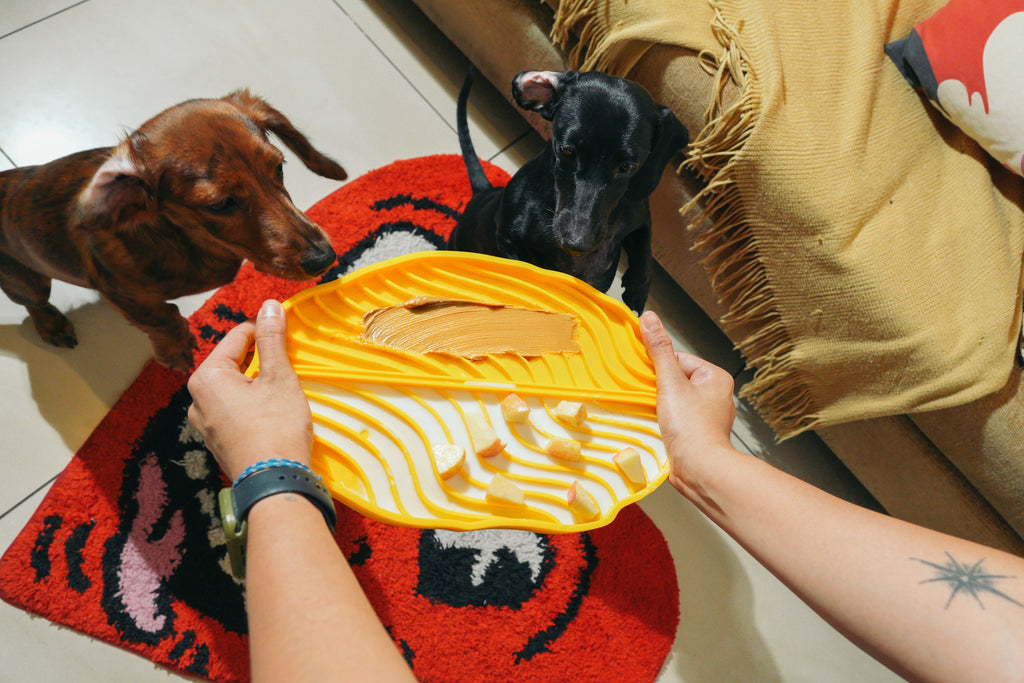 Banana Leaf Pet Lick Mat