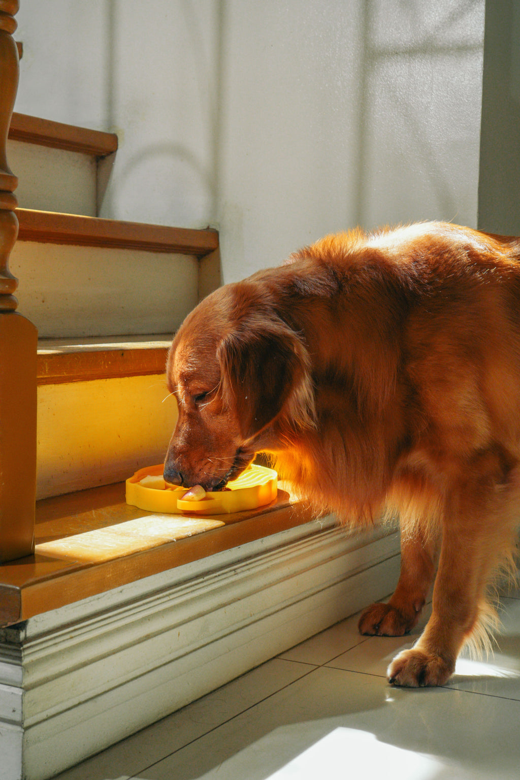 Banana Leaf Pet Lick Mat