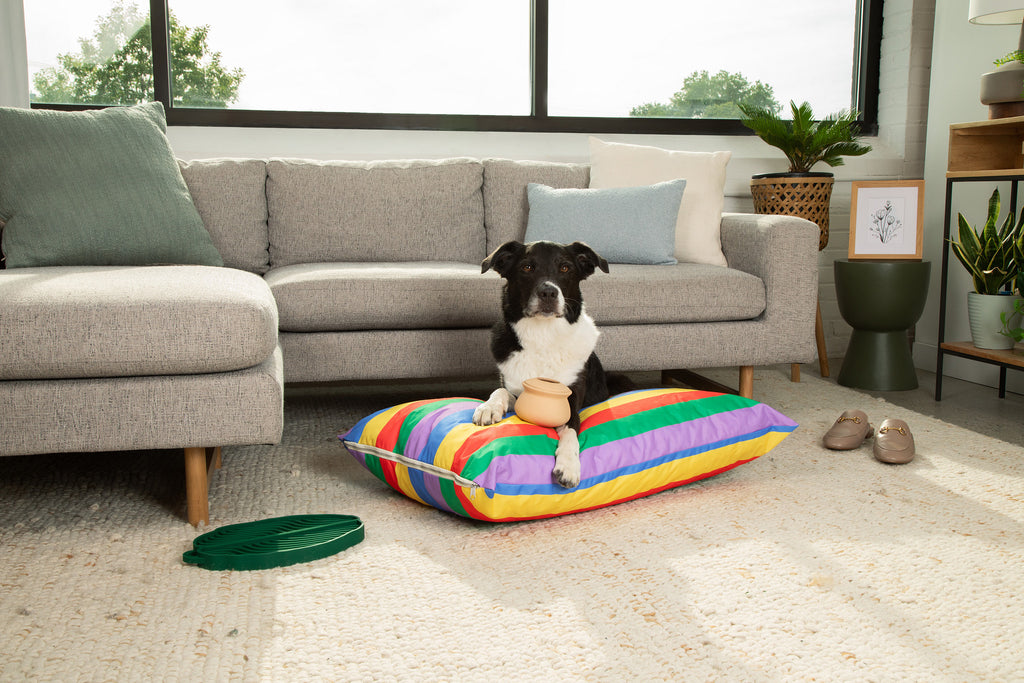 Better Together Dog Bed Cover