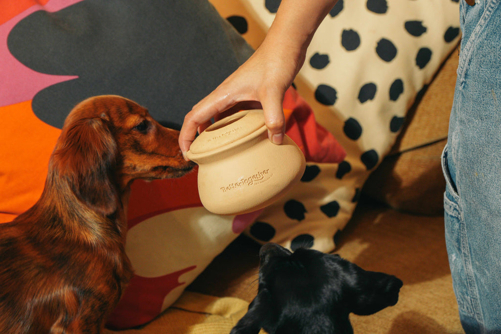 Palayok Treat Dispensing Toy